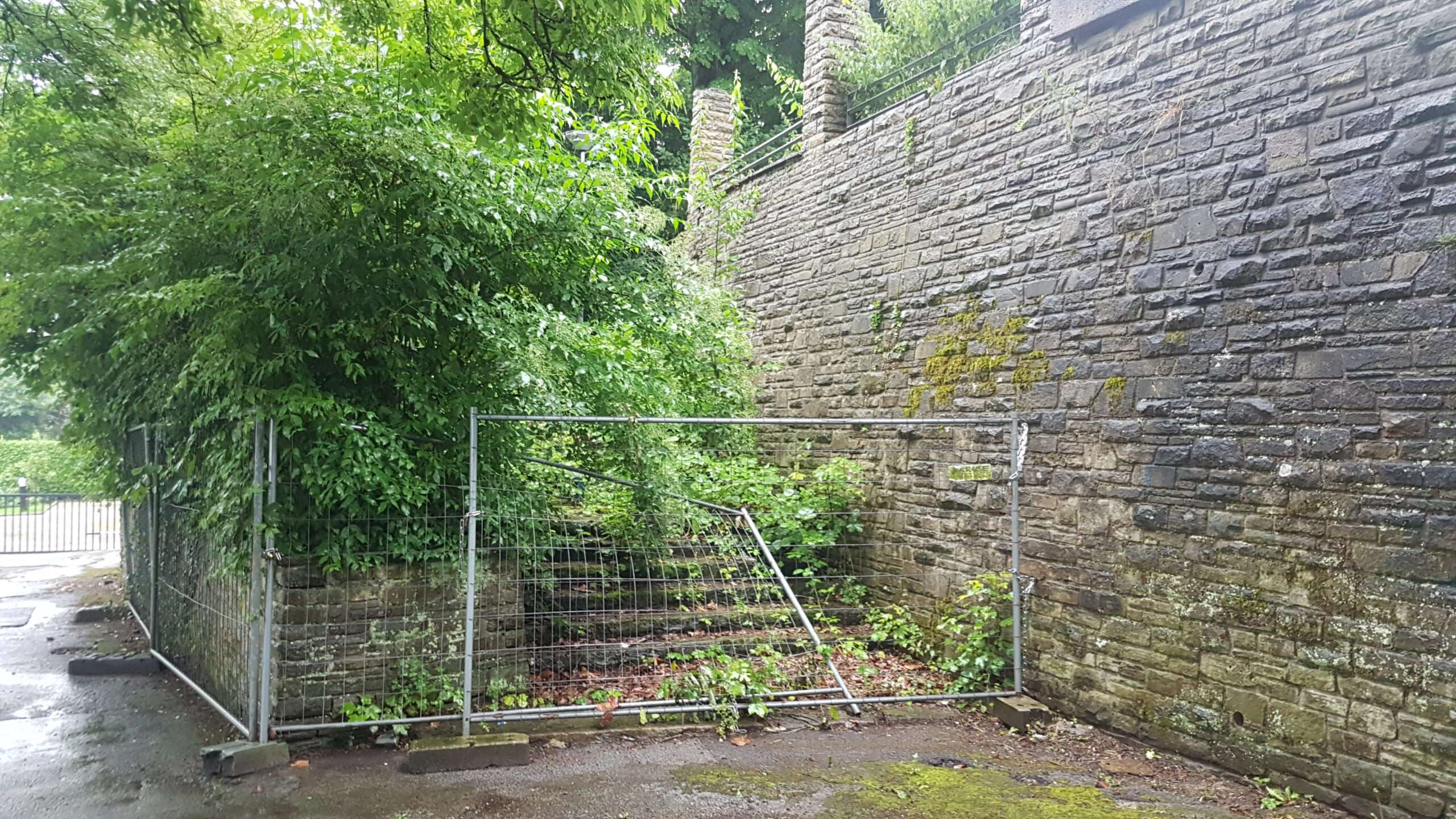 zugewachsene Treppe am Mahnmal