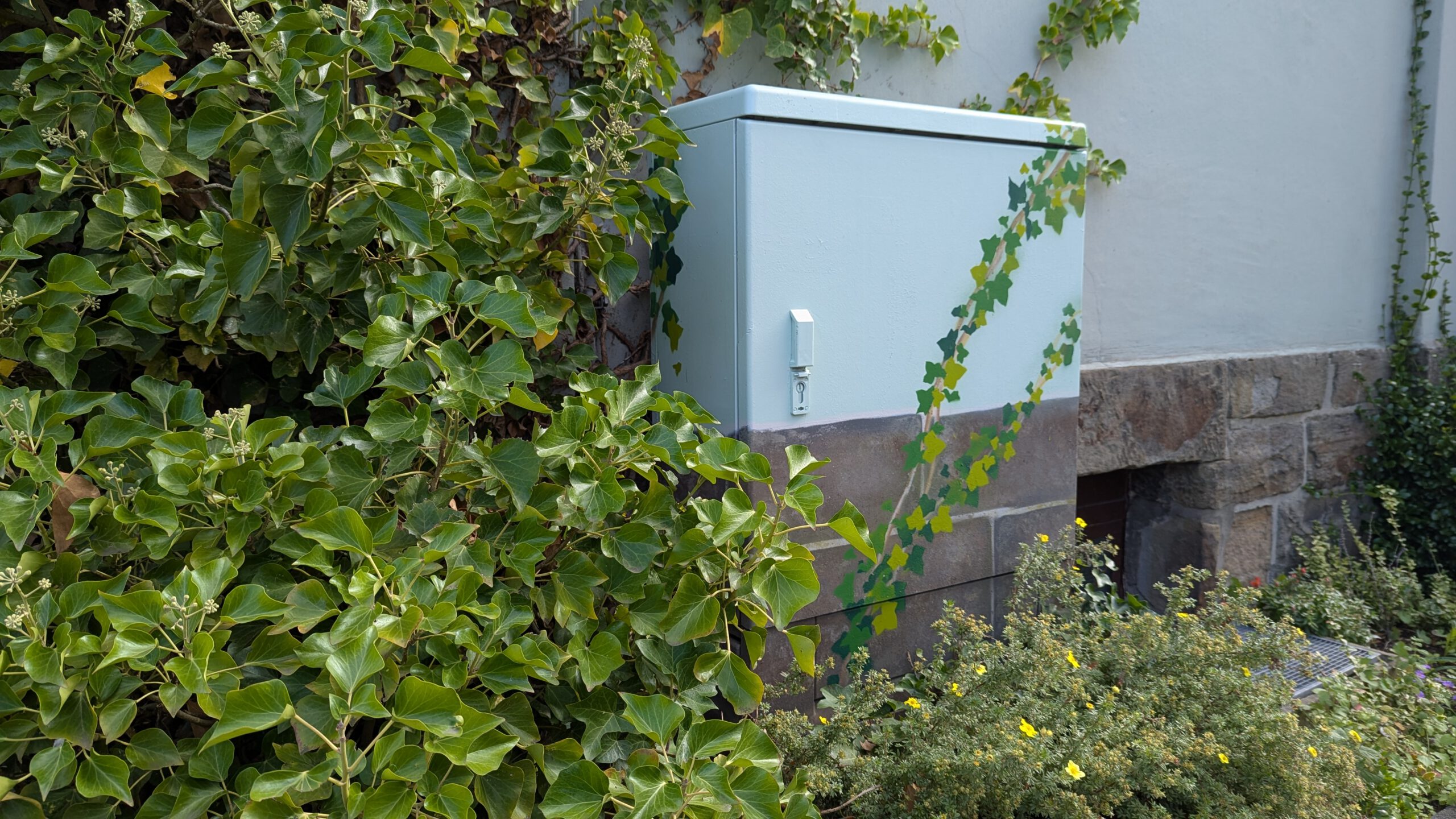 Stromkastenbemalung die den Hintergrund des Rathauses (Mauer, Efeu) aufnimmt