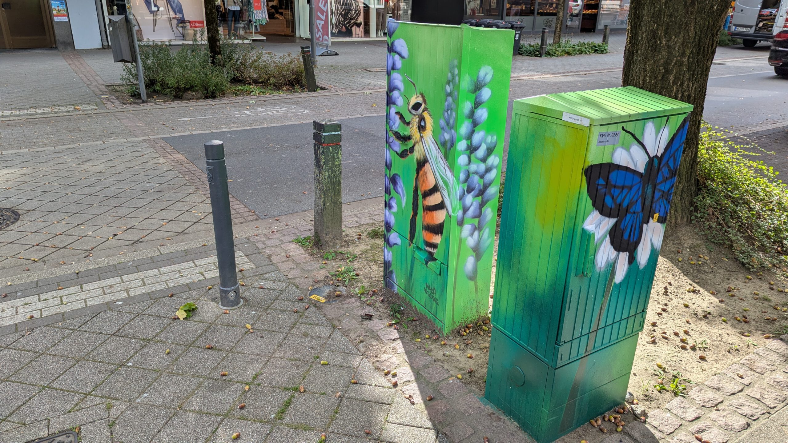 Biene und Schmetterling sitzen auf den Blüten